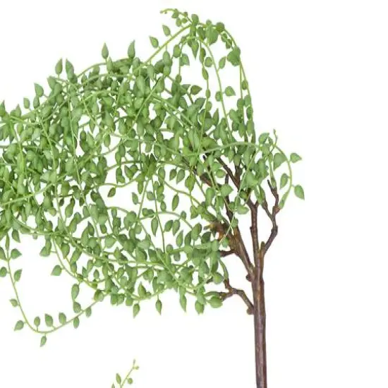 Hello Honey&reg; 41" Faux String of Pearl Picks, 12ct. {8}