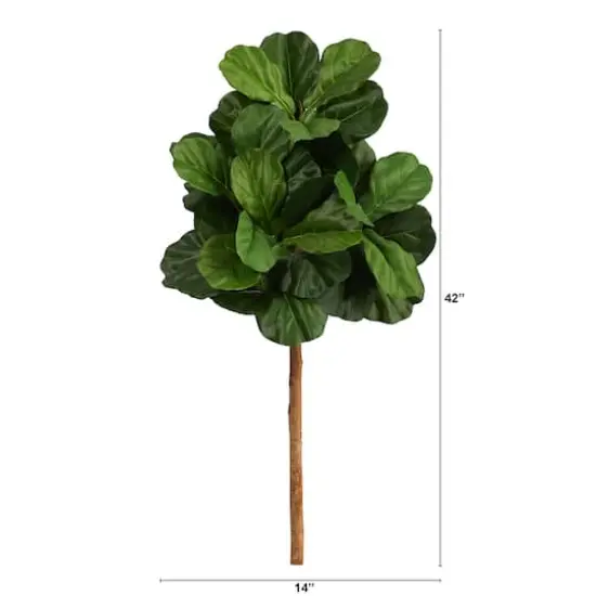 3.5ft. Fiddle Leaf Fig Tree {3}