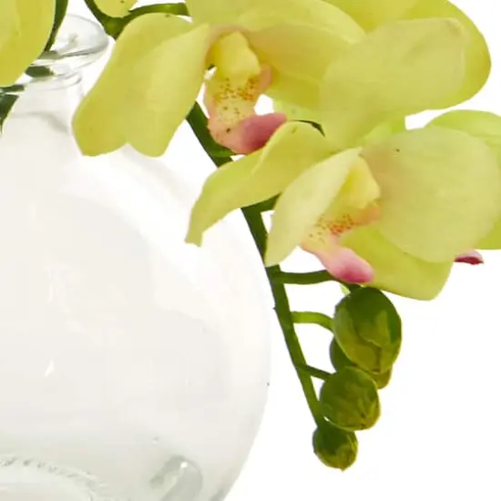 9" Orchid Arrangement in Glass Vase Set {4}