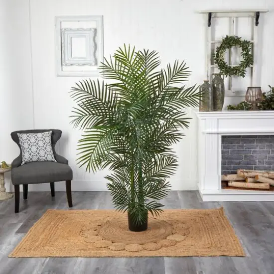 4.5ft. Potted Areca Palm {6}