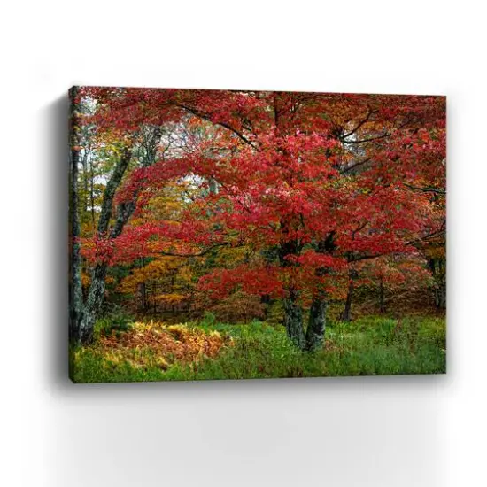Lumaprints Catskill Maple Canvas Wall Art {4}