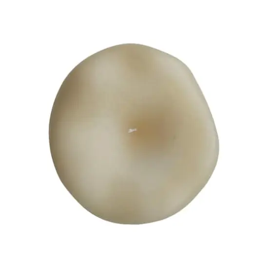 Hello Honey&reg; Large Unscented Mushroom-Shaped Candle Cream {4}