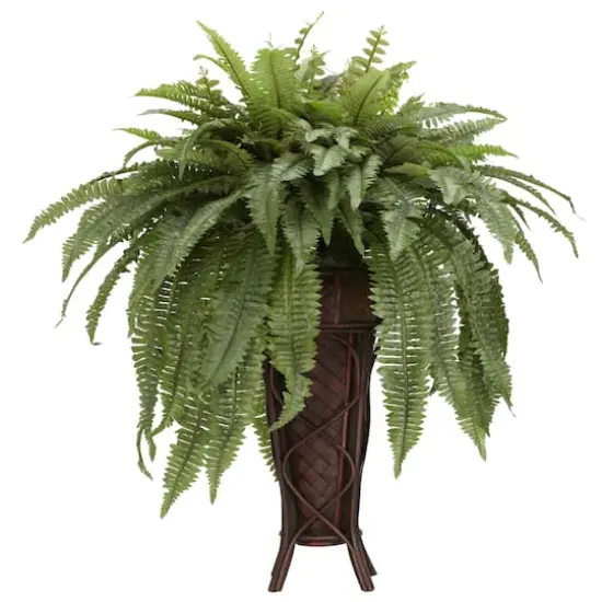 3ft. Boston Fern Plant in Stand {3}