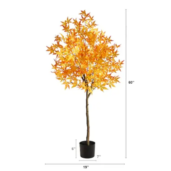 5ft. Potted Yellow Autumn Maple Tree {4}