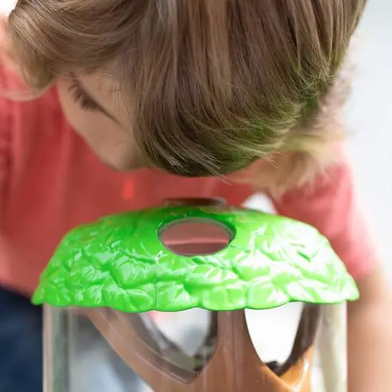 Educational Insights&reg; GeoSafari Jr. Ladybug Garden  {4}