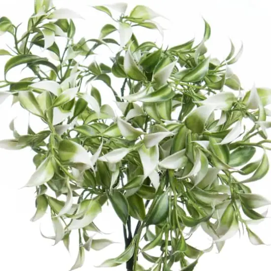 13" White Ruscus Bush by Ashland&reg; {3}
