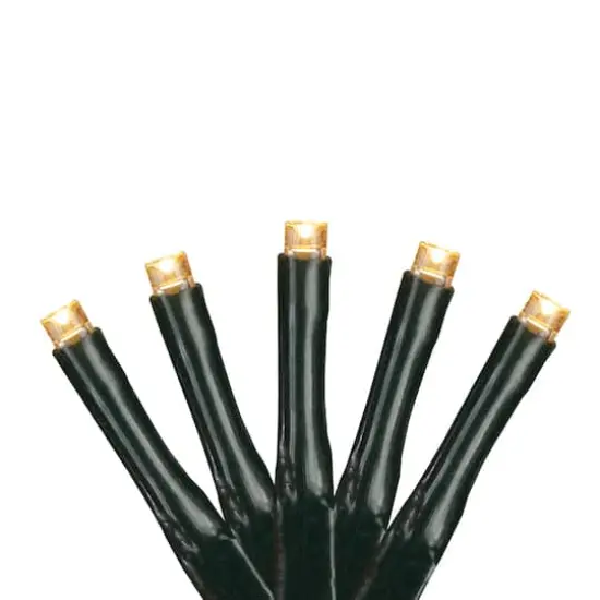 171ct. Warm White LED 8-Function Twinkle Christmas String Lights {1}