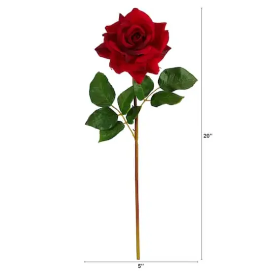 Red Rose Stem, 6ct. {3}