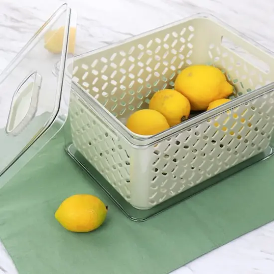 Martha Stewart Large Fresh Keeper Container Set {5}