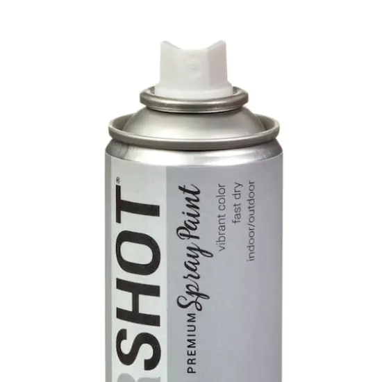 COLORSHOT&reg; Premium Metallic Spray Paint Silver Lining {5}