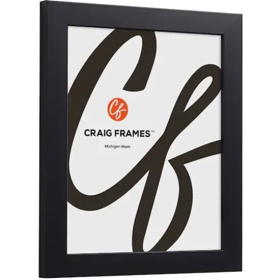 Craig Frames Essentials Modern Black Picture Frame with Mat {3}