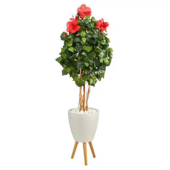 6ft. Hibiscus Tree in White Planter with Stand {1}