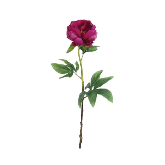 Magenta Peony Stem {1}