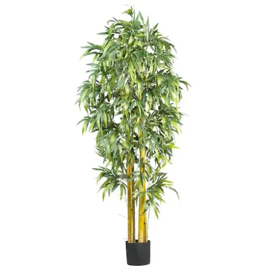 6ft. Potted Big Bamboo Tree  {1}
