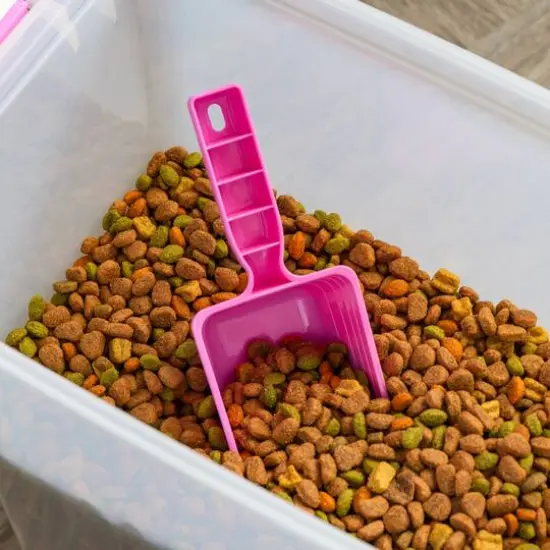 Iris&reg; Pink Airtight Container Set with Buckle Lids {7}