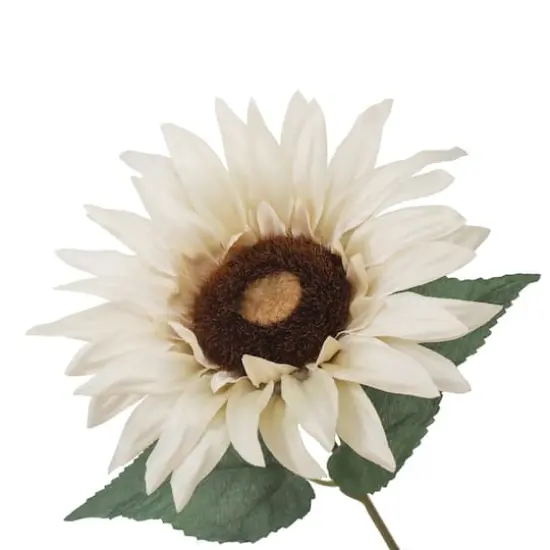 20" Sunflower Deluxe Bush by Ashland&reg; Cream {4}