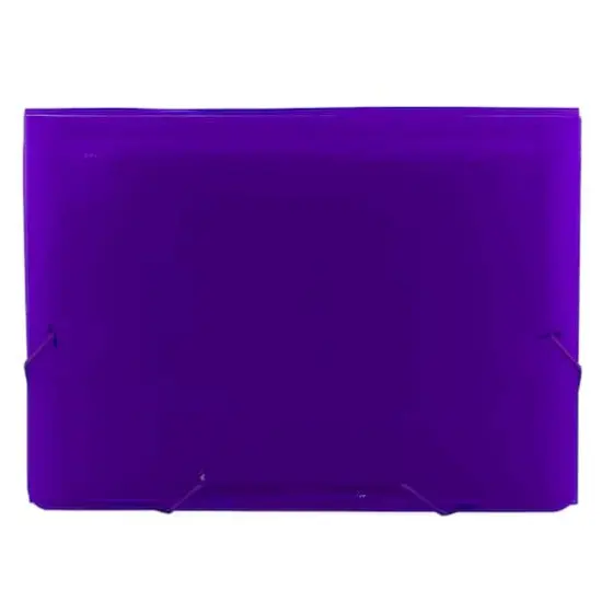 JAM Paper 9" x 13" Plastic Accordion Folder Purple {4}