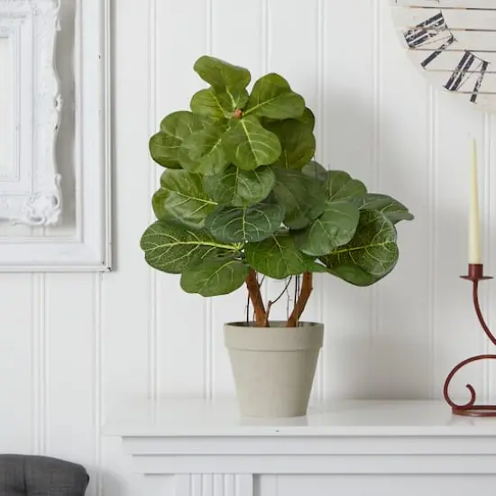22" Fiddle Leaf in Stone Planter {3}