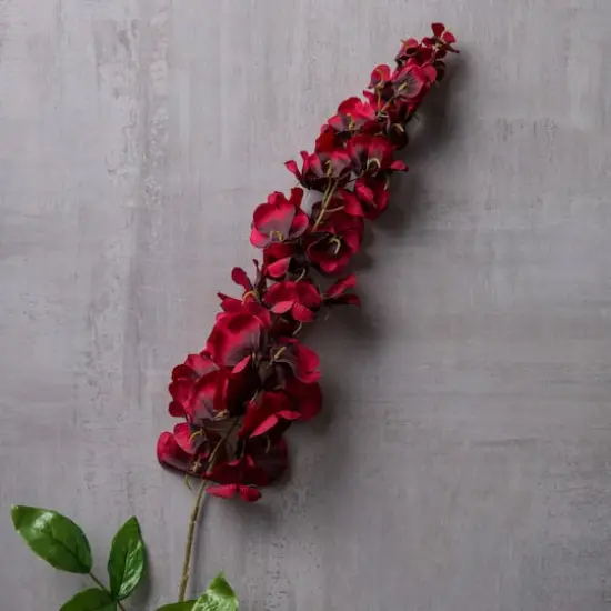 Burgundy Wisteria Stem by Ashland&reg; {3}