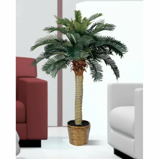 4ft. Sago Silk Palm Tree in Wicker Basket Pot {3}