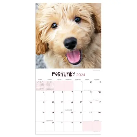 TF Publishing 2024 Puppies Mini Calendar {4}
