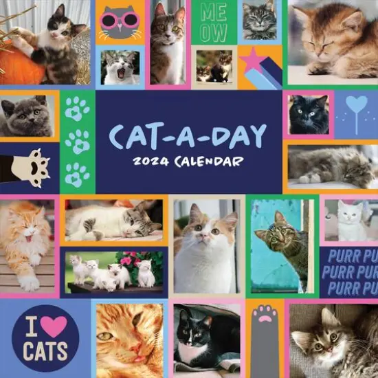 TF Publishing 2024 Cat-A-Day Wall Calendar {1}