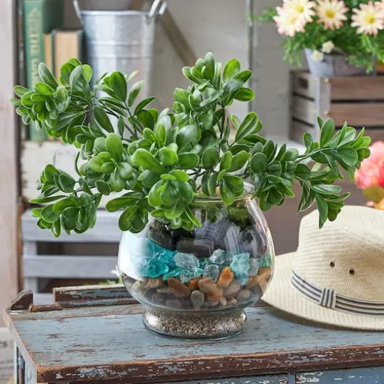 9" Clear Glass Terrarium by Ashland&reg; {3}