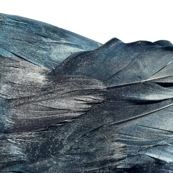 7.5" Iridescent Black Crow by Ashland&reg; {5}