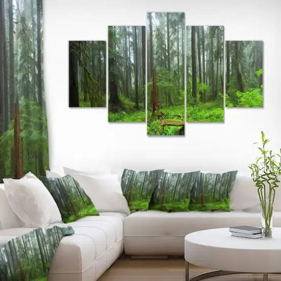 Designart - Hoh Rain Forest - Large Landscape Photography Canvas Art Print {3}