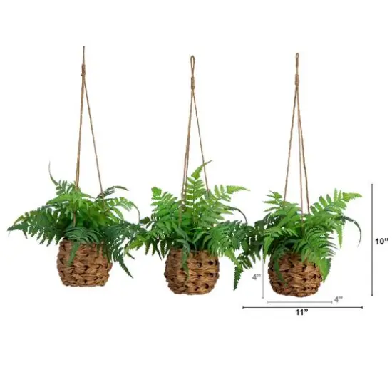 10" UV-Resistant Boston Ferns in Hanging Wicker Baskets, 3ct. {6}