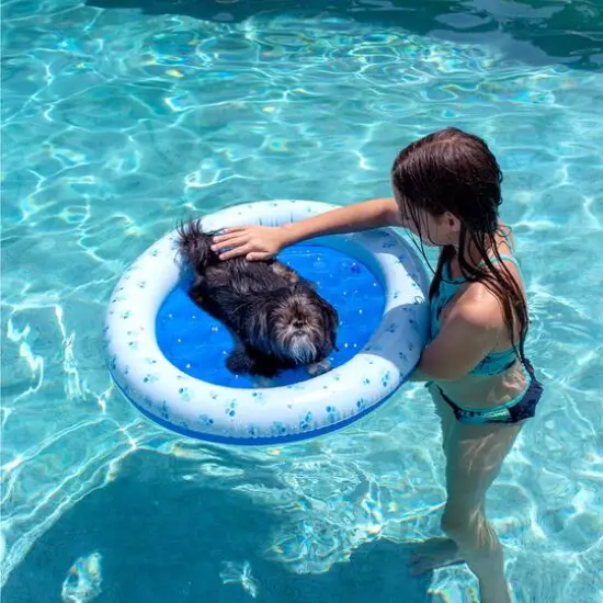 PoolCandy 36" Blue & White Paw Print Pet Float {4}