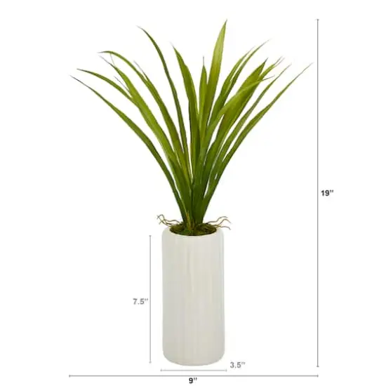 19'' Grass Plant in Tall White Planter {3}