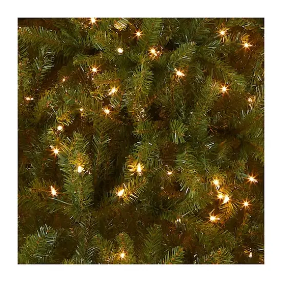 9 ft. Pre-Lit Dunhill&reg; Fir Medium Profile Artificial Christmas Tree, Clear Lights {4}
