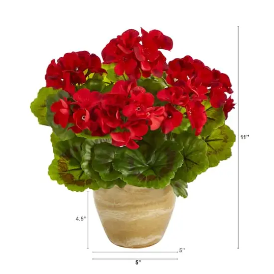 11'' Red Geranium in Ceramic Planter {3}