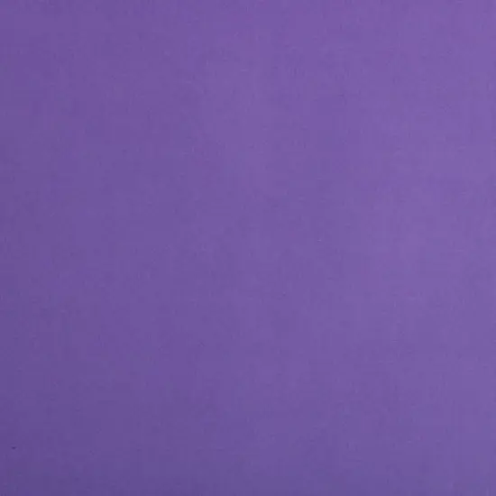 JAM Paper Matte Gift Wrap, 2ct. Purple {6}