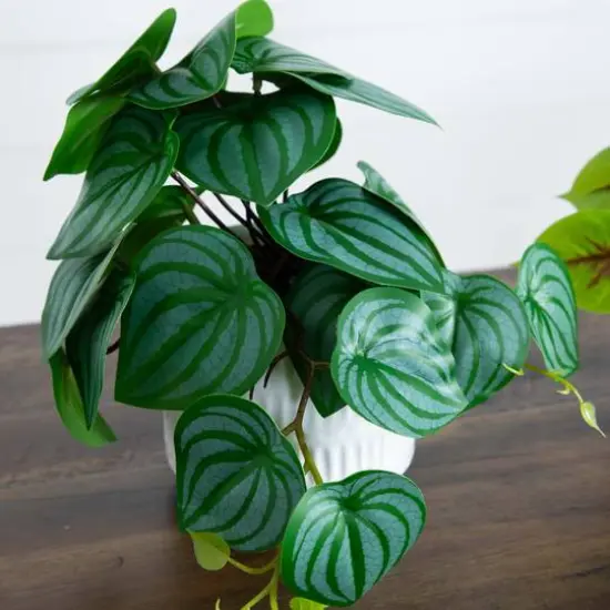 8" Mixed Greenery in Ceramic Planters Set {11}