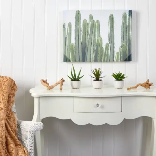 Potted Agave Plant Collection 3ct. {10}