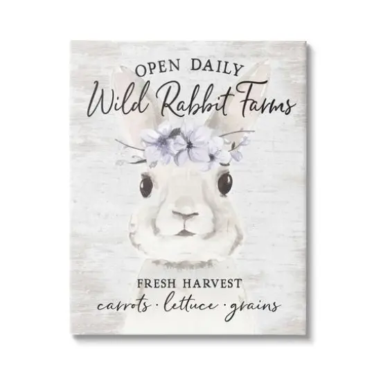Stupell Industries Wild Rabbit Farms Weathered Floral Crown Sign Canvas Wall Art {1}