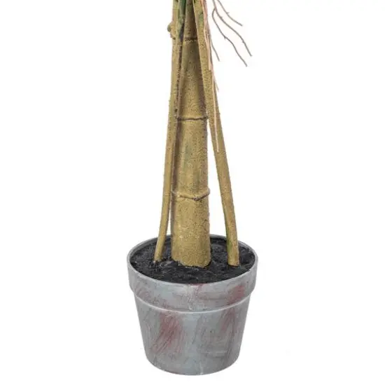 4.5ft. Potted Grand Split Philodendron Tree {7}