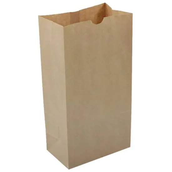 JAM Paper Brown Kraft Lunch Bags, 500ct. {1}