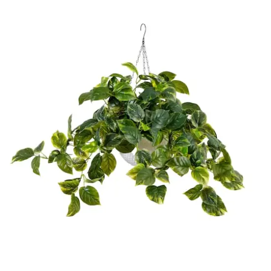 24" UV Resistant Artificial LED Pothos in White Hanging Basket {1}