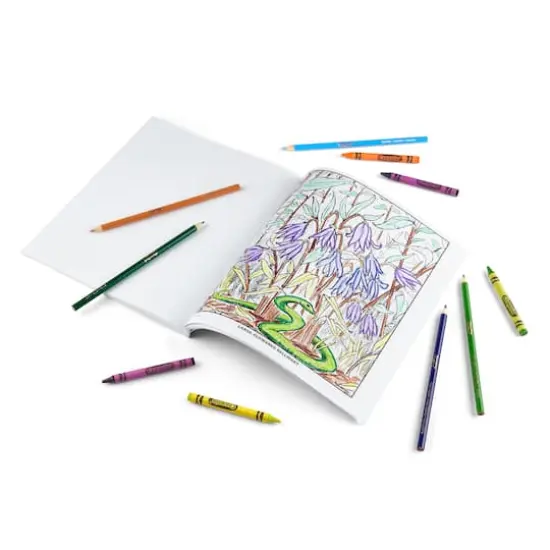 Crayola&reg; Wildflowers Coloring Book {4}