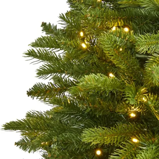 4ft. Pre-Lit Sierra Spruce Artificial Christmas Tree, Clear LED Lights {4}