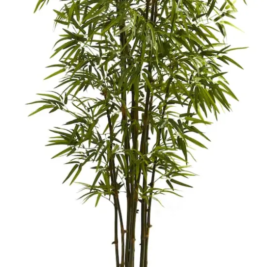 7ft. Potted Green Bamboo Tree {4}
