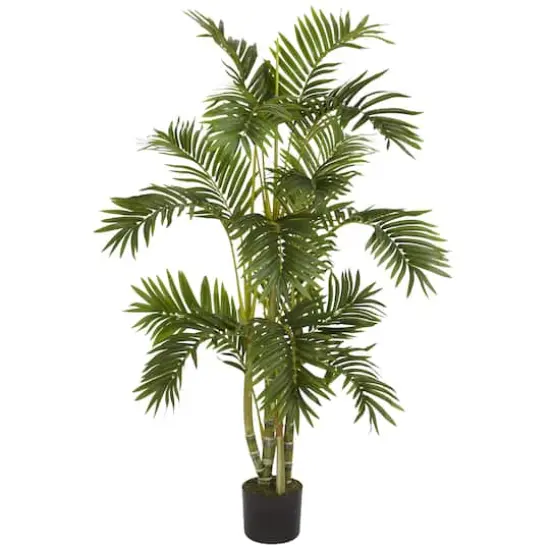 4ft. Potted Areca Palm Tree {1}