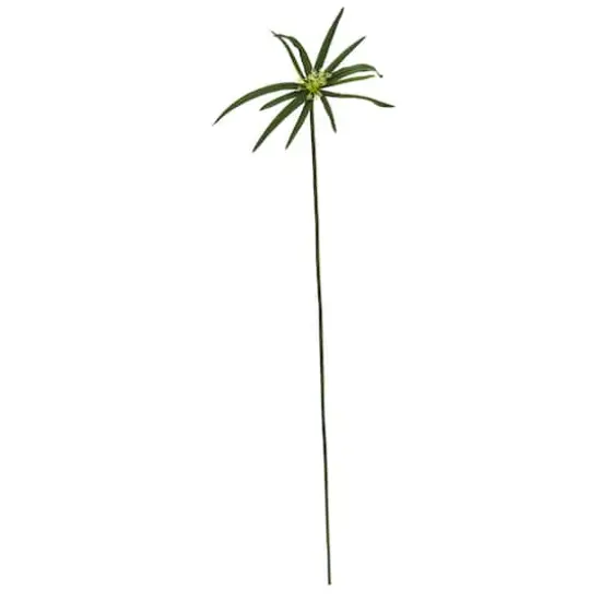 45" Green Cyperus Spray, 12ct. {1}