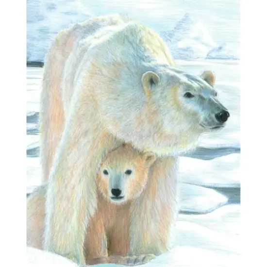 Royal & Langnickel&reg; Polar Love Colour Pencil&trade; by Numbers Kit {3}