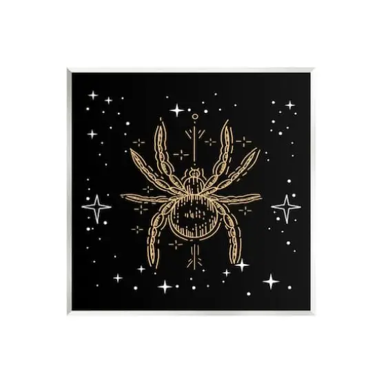 Stupell Industries Starry Halloween Spider Insect Wall Plaque Art {1}