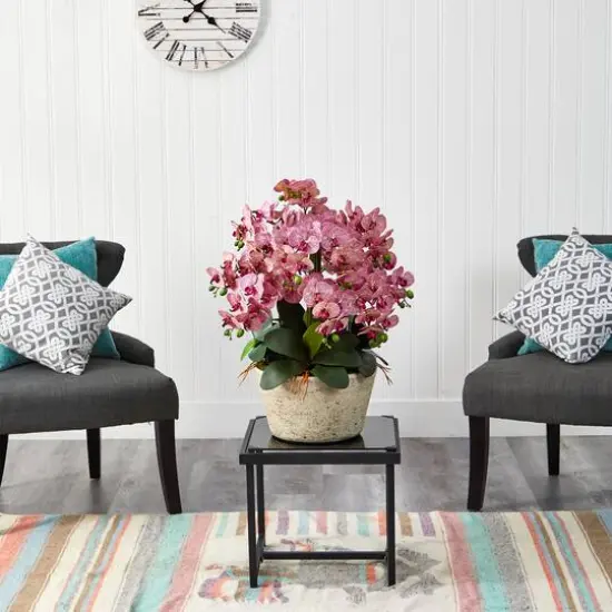 3ft. Moth Orchid Arrangement in White Vase {5}