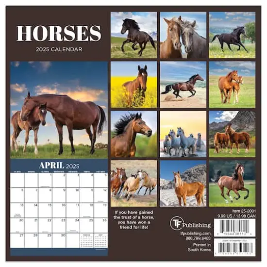 TF Publishing 2025 Horses Mini Calendar {3}